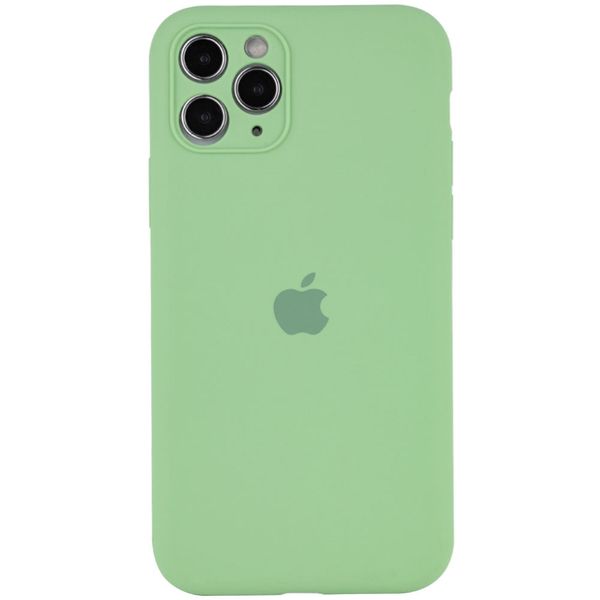 Чехол Silicone Case Full Camera Protective (AA) для Apple iPhone 12 Pro Max (6.7") Мятный / Mint / PVH (286353) 286353 фото